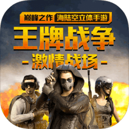 代号英雄