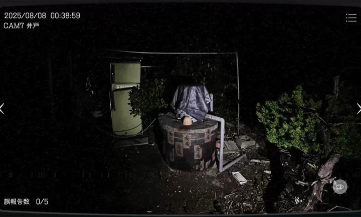 游戏玩法截图2