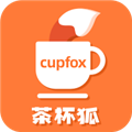 茶杯狐Cupfox 