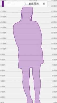 身高模拟器(Measuring Meter –Tape Measure & Ruler)