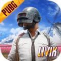 地铁逃生体验服(BETA PUBG MOBILE)