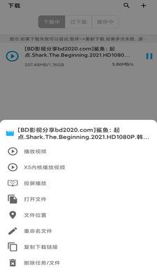 冰冰bt磁力