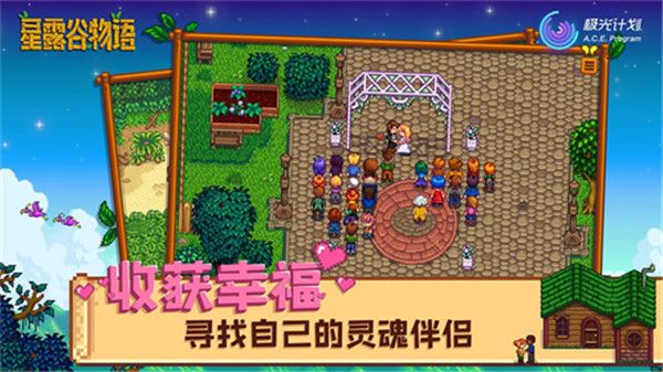 星露谷物语手机版(Stardew Valley)