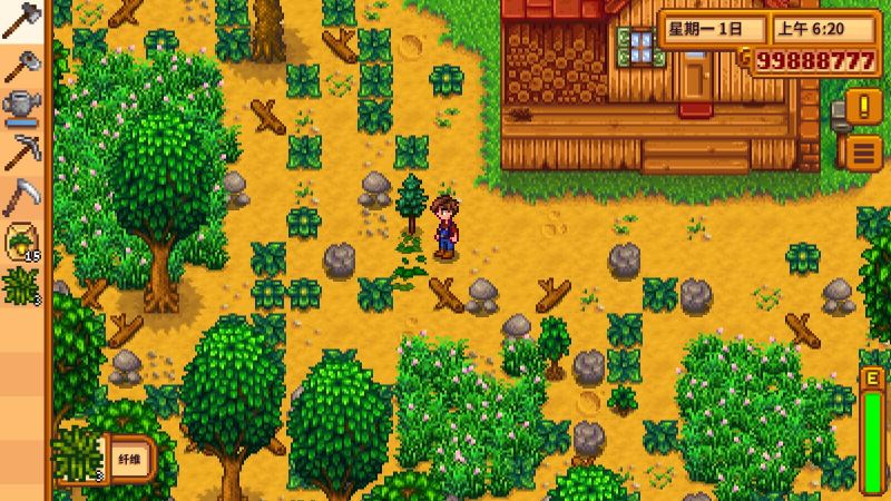 Stardew Valley