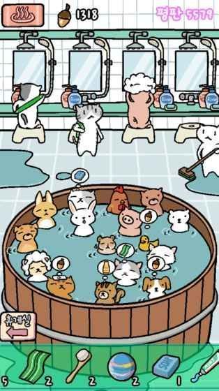 动物温泉(Animal Hot Springs)