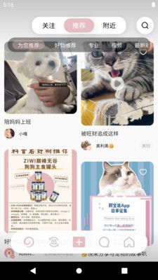 阿宝说