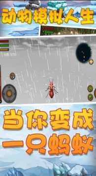 模拟动物人生