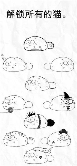 FATTY CAT