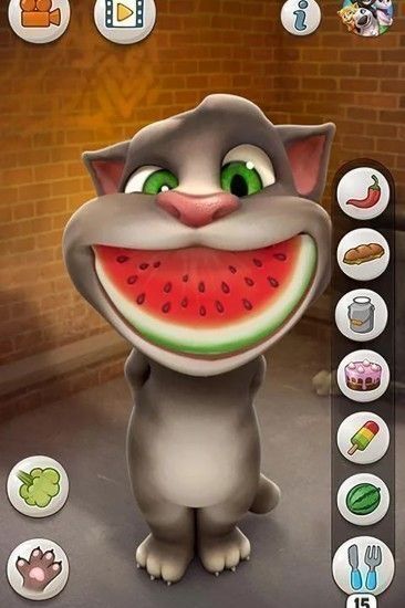 会说话的汤姆猫无广告版(Talking Tom Cat)