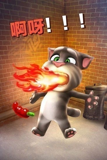 会说话的汤姆猫无广告版(Talking Tom Cat)