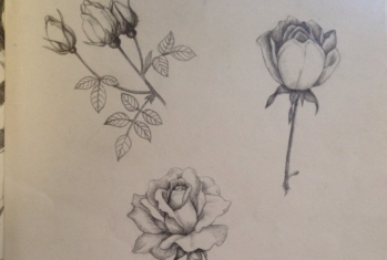 素描教程基础入门视频