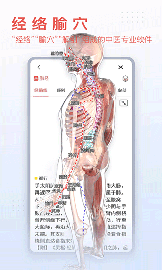 3DBODY解剖