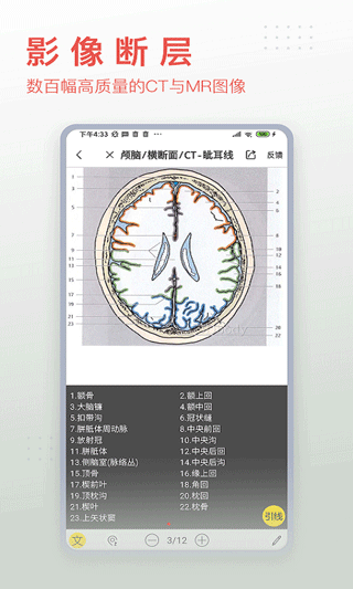 3DBODY解剖