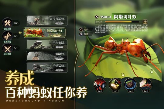 小小 蚁国九游版