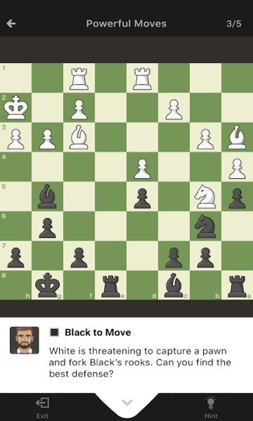 国际象棋(Chess)