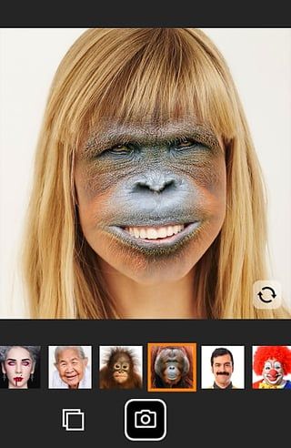 faceswap汉化版(Face Swap)