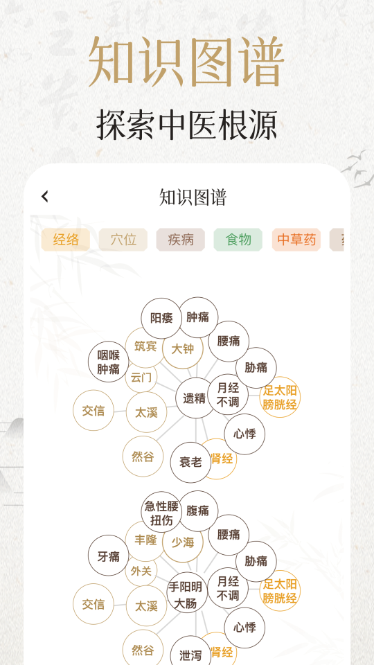 中济经络穴位