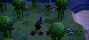 动物之森手游(Pocket Camp)