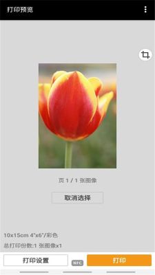 佳能打印(PRINT)
