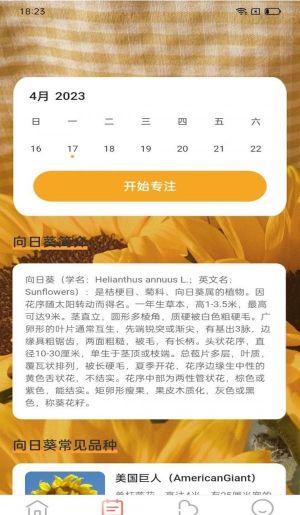 百花步数