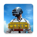 绝地求生台服(PUBG MOBILE)