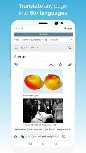 kiwi浏览器(Kiwi Browser)