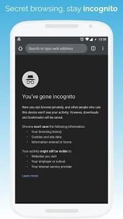 kiwi浏览器(Kiwi Browser)
