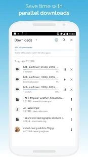 kiwi浏览器(Kiwi Browser)