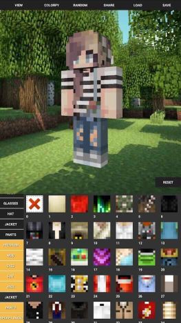 我的世界人物皮肤编辑器(Custom Skin Creator)