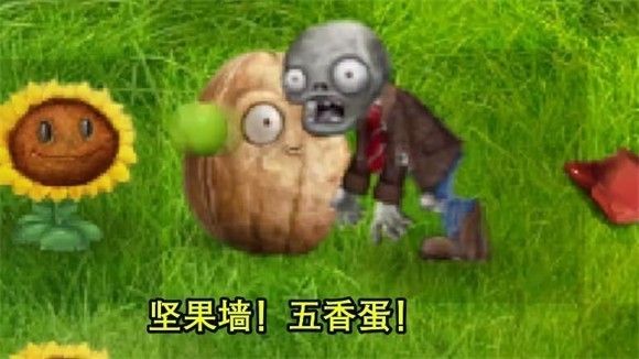 植物大战僵尸写实版(PvZ Real Life Mod )
