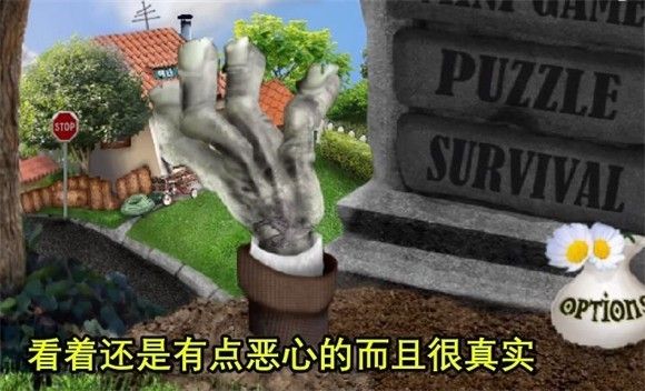植物大战僵尸写实版(PvZ Real Life Mod )