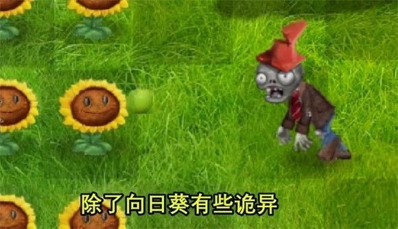 植物大战僵尸写实版(PvZ Real Life Mod )
