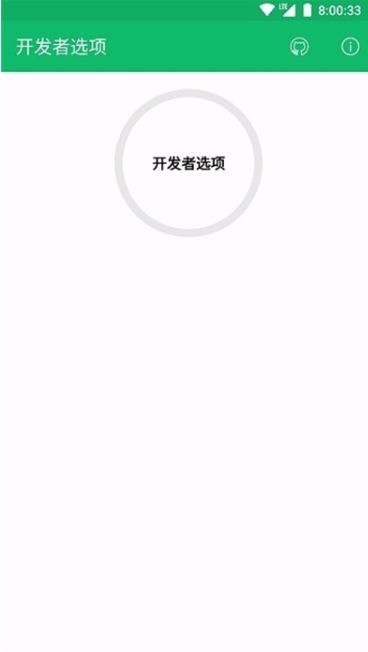 开发者选项(Developer Options)