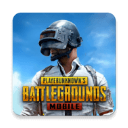 PUBG MOBILE 绝地求生国际服