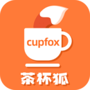 茶杯狐cupfox安卓版