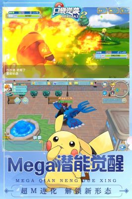 口袋重制2