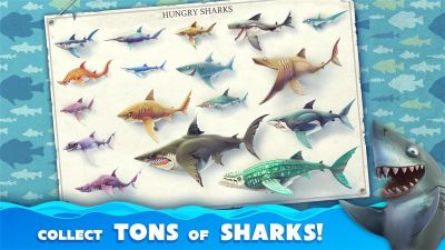 饥饿鲨世界国际版(Hungry Shark)
