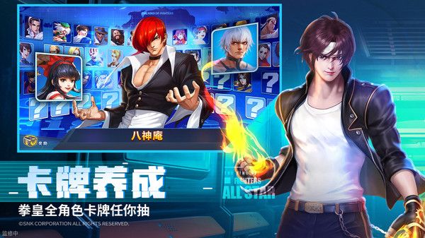 拳魂觉醒小y版