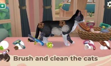 猫咪救援故事(Cat Rescue Story)