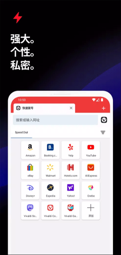 vivaldi浏览器(Vivaldi Browser)