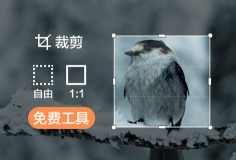 免费裁剪图片尺寸大小