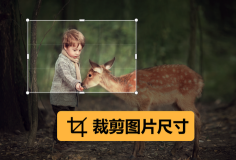 在线裁剪图片尺寸