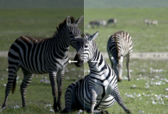 在线图片曝光修复编辑器