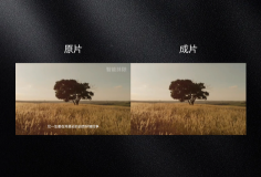 智能自动去除水印或字幕