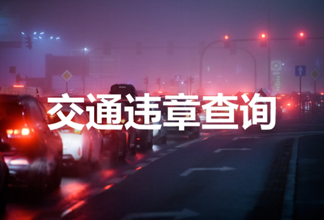 全国车辆交通违章查询平台