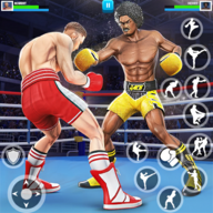 拳击比赛跆拳道(Punch Boxing)