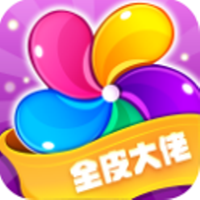全皮大佬