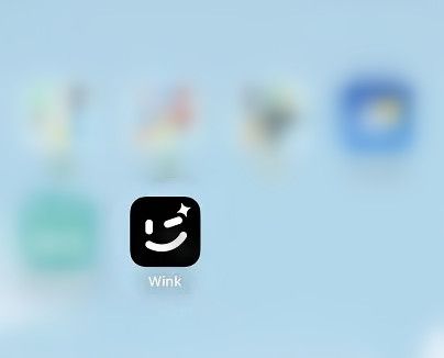 wink软件如何清理缓存