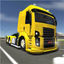 公路司机(The Road Driver)