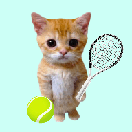 猫猫网球冠军(Cat Tennis Champion)